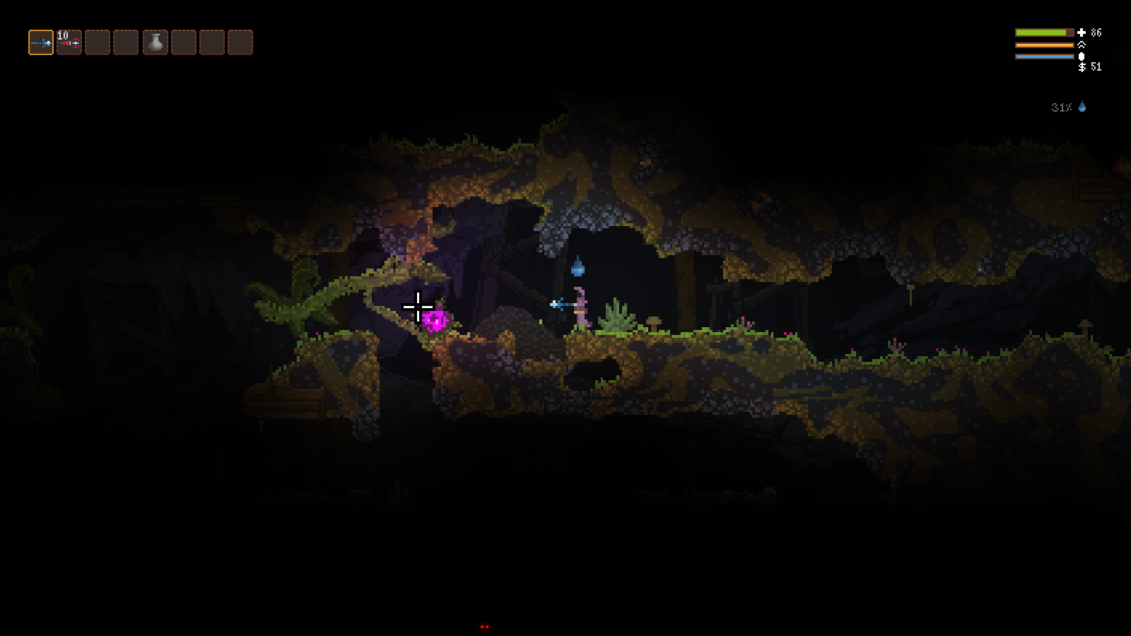 The rain also caused these vines to grow all over the place. The flowers were explosive.
